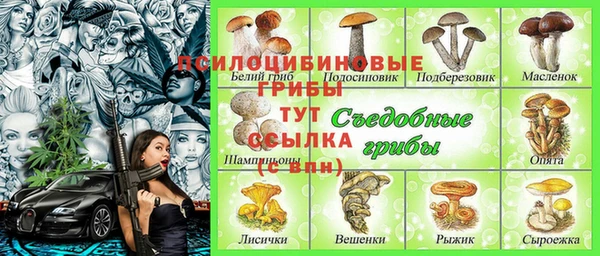 дурь Абаза