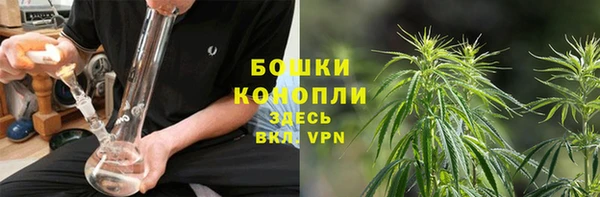 ГАЛЛЮЦИНОГЕННЫЕ ГРИБЫ Покров